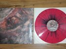Converge ?– Unloved And Weeded Out