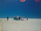 Cold Chisel - Circus Animals 1982 Japan Pressing + Insert LP. M- / M-