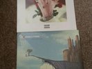 Machine Gun Kelly General Admission Bloom Vinyls and EST hoodie bundle