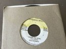 Max Romeo-Chase The Devil Reggae 7“ Inch RAR Dancehall Soundsystem