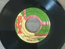 PRINCE HAMMER - Ten Thousand Lions, orig 7” vinyl roots reggae JA 79 Belva Sound