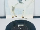 Tori Amos WINTER  7