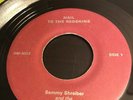 HAIL TO THE REDSKINS 45 record orig SAMMY SHREIBER NFL FOOTBALL fight song RARE