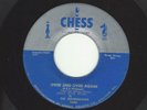 THE MOONGLOWS- 
