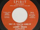LARRY CRAIG 