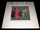 Rush - Signals Vinyl Record LP SRM-1-4063
