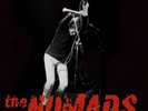 Vinyl - The Nomads - Showdown 1981-1993 - 3 LPs - Bang Records 2017