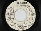 Northern Soul 45 - Little Jewel - I Want To - Tay-Ster - mp3