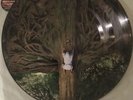 The Mars Volta - The Widow - 12