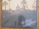 Thr Eagles HOTEL CALIFORNIA original MFSL Vinyl LP, nm