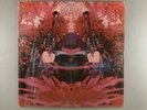 Blue Mountain Eagle  Self-Titled   SEALED   Psych   Rare LP