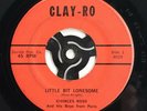 Charles Ross And His Boys From Paris Mountain Greenville SC Rockabilly Clay-Ro