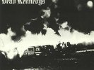 DEAD KENNEDYS - Fresh Fruit For Rotting Vegetables (reissue) - Vinyl (LP)