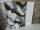 Cocteau Twins - Blue Bell Knoll - Cad 807 - Vinyl LP 1988