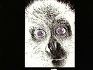 |2770558|  E.A. Poe - Generazioni (Storia Di Sempre) [LP Vinyle] |Neuf|