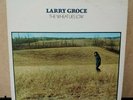 LARRY GROCE-The Wheat Lies Low 1971 US DAYBREAK LP Rare Loner Folk Obscurity NM