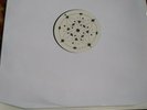 Various - 1 × ????cycle/s = ????Hz LIGHT SOUNDS DARK NEAR MINT LSD017