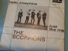 The Scorpions 