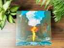 Bonobo - Migration (12