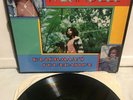 Hugh Mundell - BLACKMAN'S FOUNDATION - Shanachie Records 43012 - VG+ Vinyl -