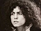 A Beard Of Stars [VINYL] [Vinyl] Tyrannosaurus Rex