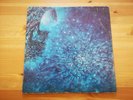 LOVE - Out Here - 2x VINYL LP VG+/VG+ 1970 UK Harvest SHDW 3/4