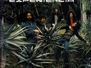 EXPERIENCIA - PASSO A PASSO (Like New Excellent Condition LP) GP1002LP