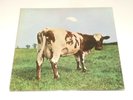 Pink Floyd - LP -  Atom Heart Mother - USA - Harvest SKAO-382 - RARE MATRIX VAR.