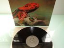 GENTLE GIANT-OCTOPUS...RARE  SUPERB  1ST GERMAN SWIRL PRESS NM-EX VINYL LP 1972