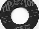 ROBERT WILLIAMS AND THE GROOVERS Cranberry Blues- Loud Mufflers,USA Original