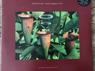 Artificial Intelligence II 3LP Warp LP23Ltd 1994 Aphex Polygon Window Autechre
