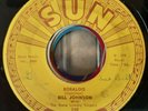 Bill Johnson With The Gene Lowery Singers   Bobaloo / Bad Times Ahead   Sun 7