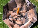 Aphex Twin Umbrella Window Licker Rare Bleep