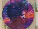 In From The Storm VA Jimi Hendrix Tribute LP Picture Disc 1995 M-