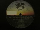 OTHORIZED F.A.M. PICTURES OF LIFE / THE PLAN 12