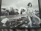 Rush Permanent waves Vinyl  Signed