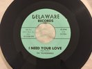 Thunderbirds I Need Your Love Hey Little Darling RARE VG+ Delaware garage punk
