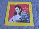 Elvis Presley - A Dogs Life