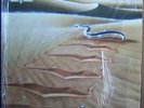NAZARETH Snakes 'n' Ladders LP 1989 German Vertigo 838426-1 Picture Inner