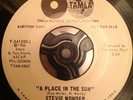 ORIGINAL RARE Northern Soul TAMLA STEVIE WONDER A Place In The Sun 7