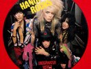 Hanoi Rocks Picture Disc  record 12
