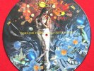 Tears for Fears fearing Oleta Adams  Picture Disc Record 12