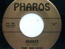 45 RPM THE POLARAS,SURF INSTRUMENTALS, BREAKER / CRICKET