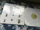 Syd Barrett - Pink Floyd - Barrett - Harvest 180gm - N MINT