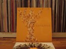 american analog set everything ends in spring splatter vinyl record 2006