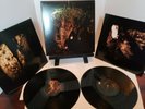 Two Hunters [LP] by Wolves in the Throne Room (Vinyl, Aug-2008, 2 Discs, Southe…