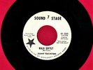 JOANNE TOUCHSTONE WALK SOFTLY SOUL R&B PROMO 45 RPM RECORD