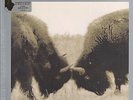 U2 Best Of 1990-2000 DOUBLE LP VINYL Europe Island 2018 16 Track Remastered
