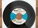 45 RPM Record The Trashmen/Surfin Bird, The Castaways/Liar Liar on Era