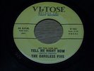NORTHERN SOUL 45.  CARELESS FIVE.  SUMMERTIME  /  TELL ME RIGHT NOW.  VG++.